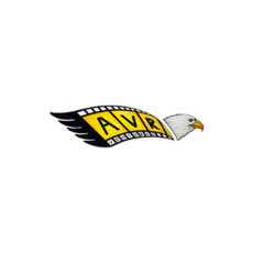 Profile picture for user AVR